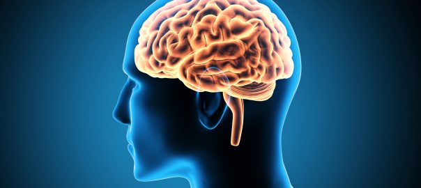 Mindset e a Cultura Japonesa
